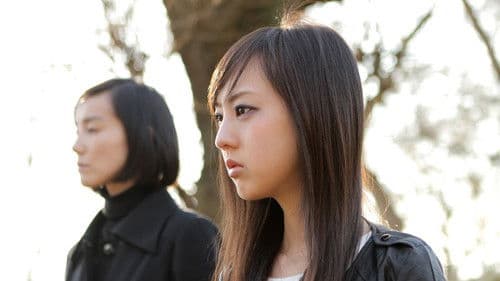 避けられること Bild 2