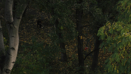 Роздуми про мир під час повітряного нальоту Bild 3