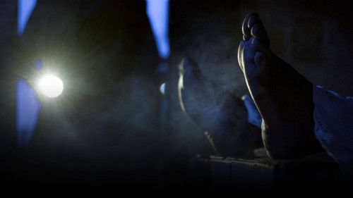 Morgue - Der Tod schläft nicht Bild 1