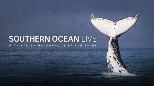 Southern Ocean Live Bild 2