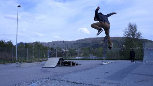 Hardflip - Sprung ins Leben Bild 1
