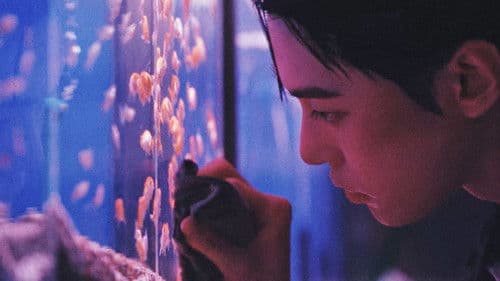 불가사의 in Seoul (DOYOUNG ver.) Bild 2