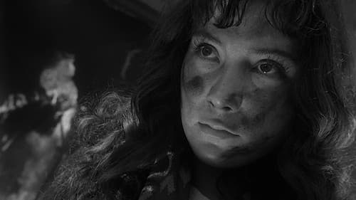 Wenn die Kraniche ziehen Bild 2