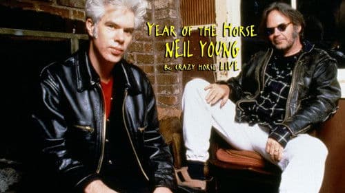 Year of the Horse Bild 3