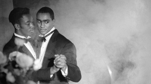 Looking for Langston Bild 5