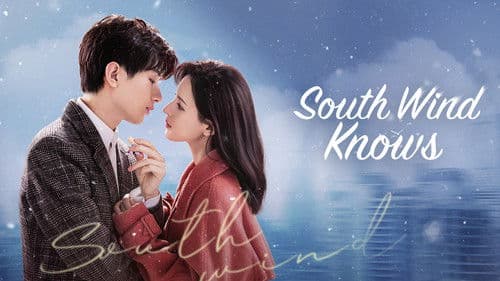 南风知我意 Bild 4