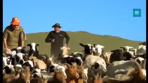 Сайн, муу, хэрцгий Bild 5