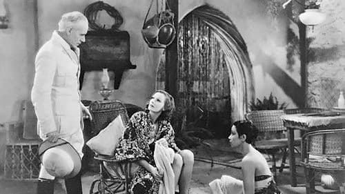 Wilde Orchideen Bild 6