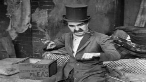 The Professor Bild 1