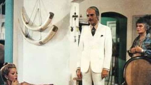 Nós, Os Canalhas Bild 1