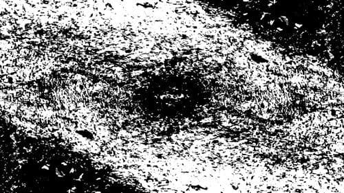 Insect Theory Bild 1