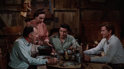 Flammender Stern Bild 8