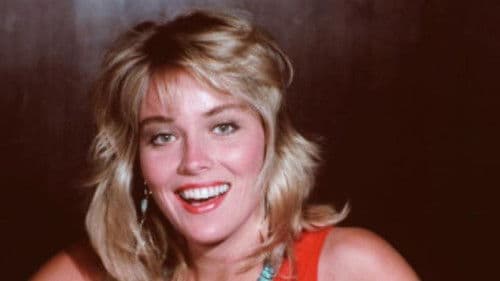 Die Haie von Las Vegas Bild 2