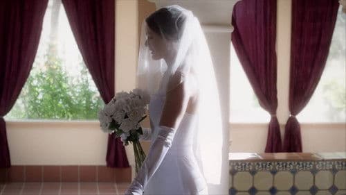 A Bride's Revenge Bild 1