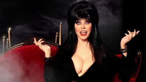 Elvira's 40th Anniversary, Very Scary, Very Special Special Bild 2