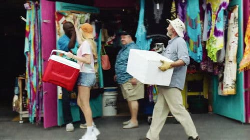 Die Insel der Delfine Bild 5