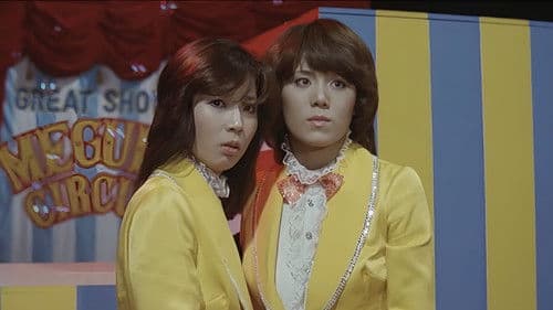 ピンクレディーの活動大写真 Bild 1