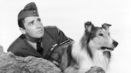 Son of Lassie Bild 3
