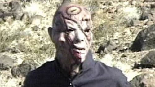 Carnage: The Legend of Quiltface Bild 2