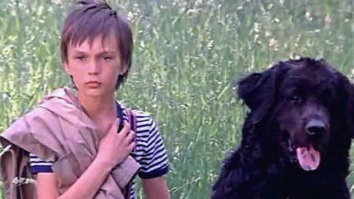 Каждый охотник желает знать Bild 1