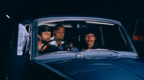 ಮಿಂಚಿನ ಓಟ Bild 3