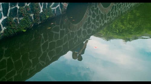 Pacto de Amigos Bild 2