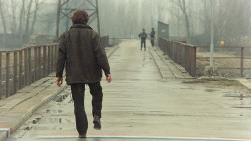 Der schwebende Schritt des Storches Bild 2