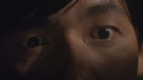 縄姉妹　奇妙な果実 Bild 2