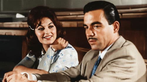 Küçük Beyin Kısmeti Bild 3