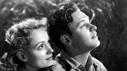 Unsere kleine Stadt Bild 3