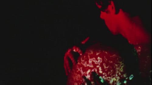 Palace of Pleasure Bild 1