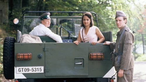 Drei Stern Rot Bild 3