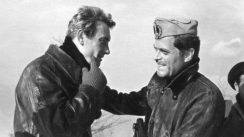 Tiro al piccione Bild 1