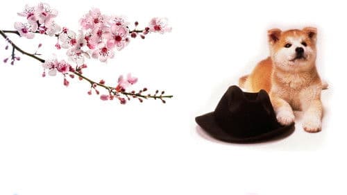 Hachiko - Wahre Freundschaft währt ewig Bild 3