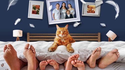 Котострофа Bild 2