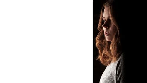 The Woman in the Window Bild 2