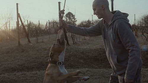 Môj pes Killer Bild 2