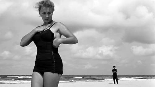 Der letzte Sommertag Bild 7