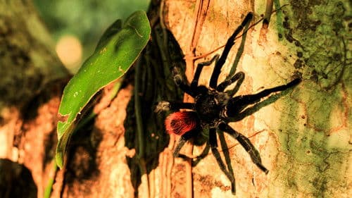 Wildes Mexiko Bild 5