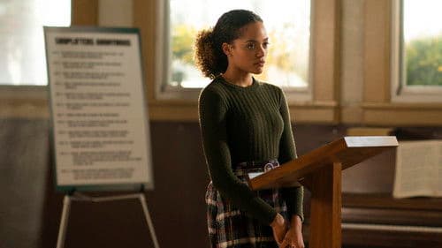 Diebische Elstern Bild 5