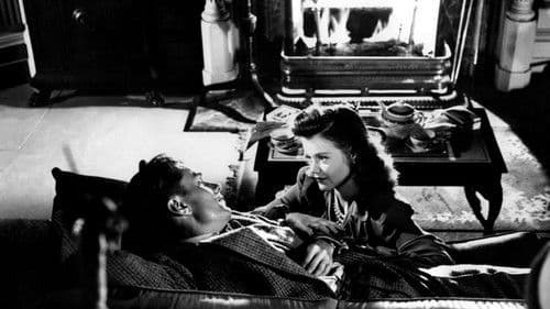 Katzenmenschen Bild 5