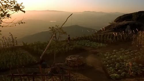 Vor dem Regen Bild 3