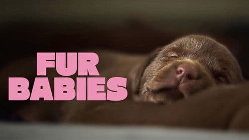 Fur Babies Bild 3