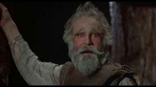 Der Mann von La Mancha Bild 2