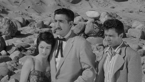 The Tijuana Story Bild 6