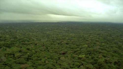 Big River Man Bild 4