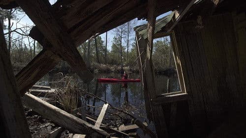 Lost in Buffalo City Bild 2