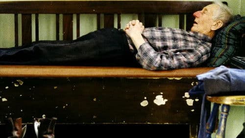 Der alte Mann und sein Universum Bild 3