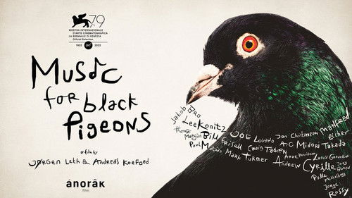 Music for Black Pigeons Bild 1