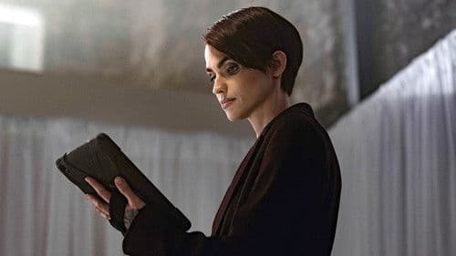 The Collective Bild 5